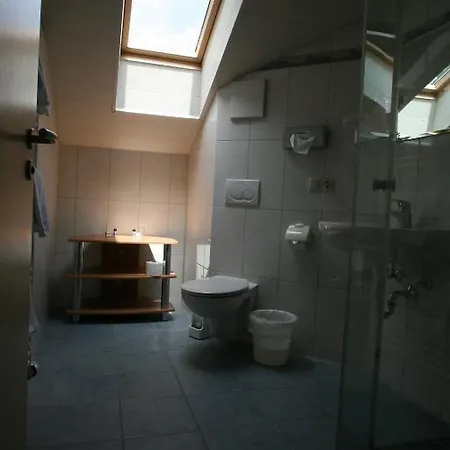 Hotel-cafe Hanfstingl Hotel 3*