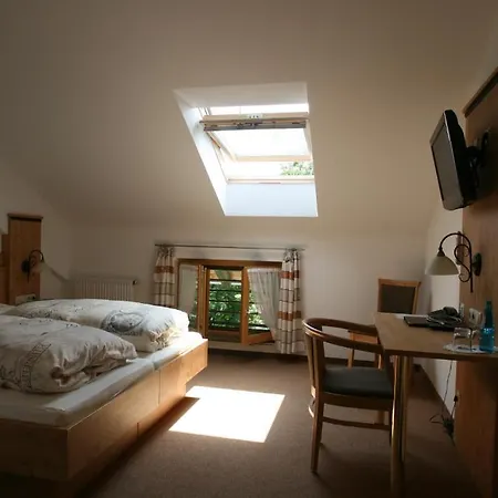 Hotel-cafe Hanfstingl