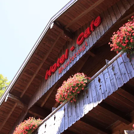 Hotel-cafe Hanfstingl