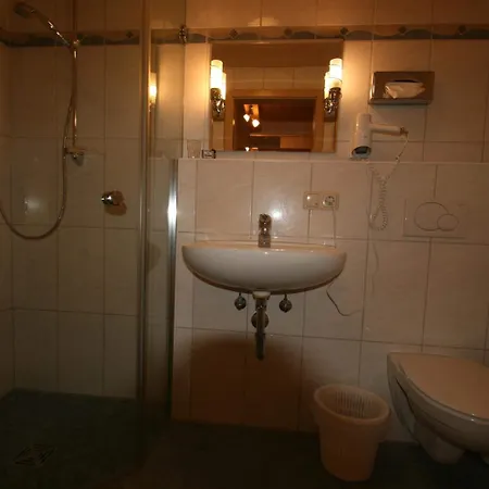 Hotel-cafe Hanfstingl 3*