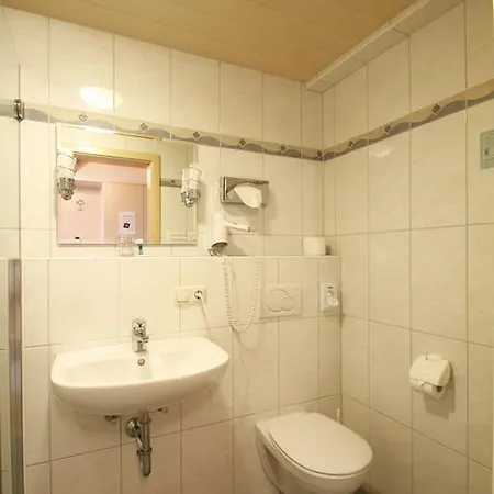 Hotel Hotel-cafe Hanfstingl 3*