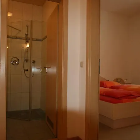 Hotel-cafe Hanfstingl 3*