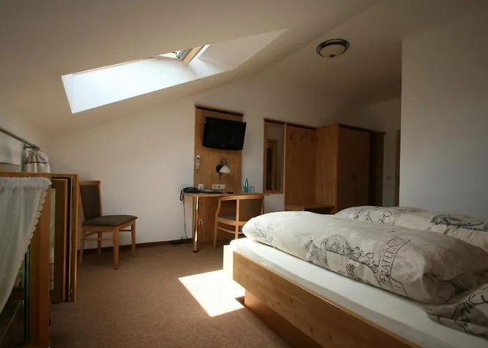 Hotel-cafe Hanfstingl 3*