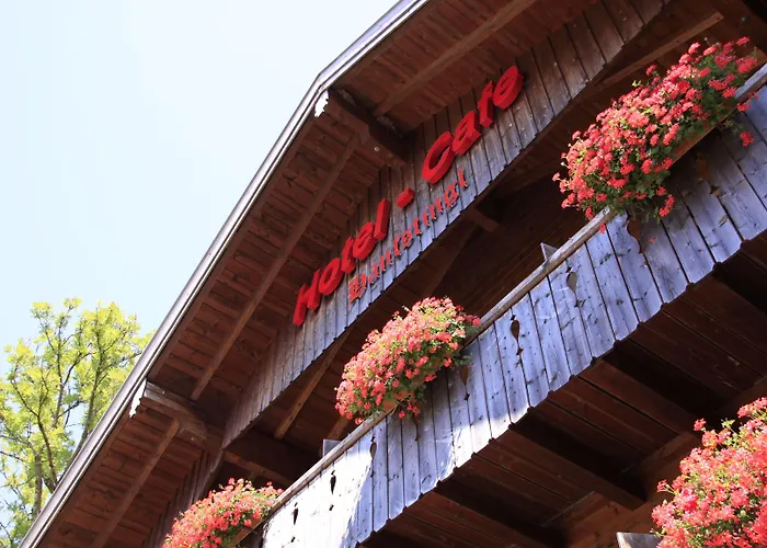 Hotel-cafe Hanfstingl