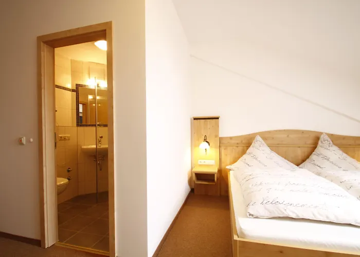 Hotel-cafe Hanfstingl 3*