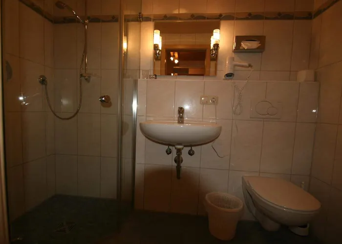 Hotel-cafe Hanfstingl 3*