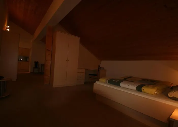 Hotel-cafe Hanfstingl מלון