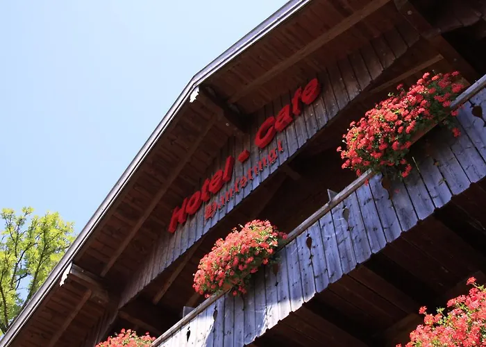 Hotel-cafe Hanfstingl 3* Egling