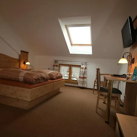 Hotel-cafe Hanfstingl 3*