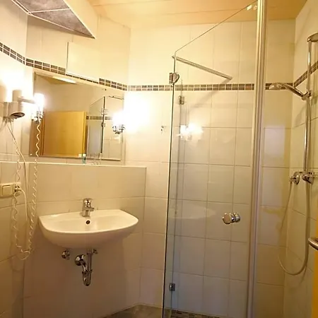 Hotel Hotel-cafe Hanfstingl 3*