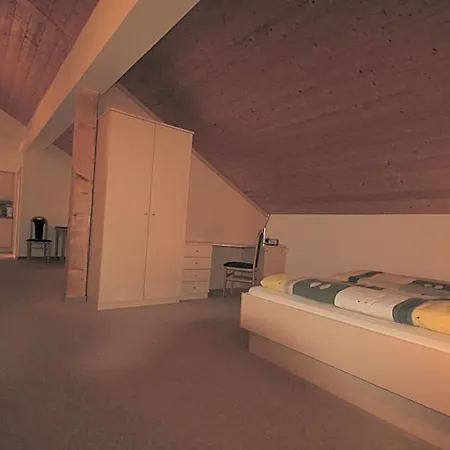 Hotel-cafe Hanfstingl Hotel 3*