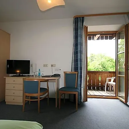 Hotel-cafe Hanfstingl 3*