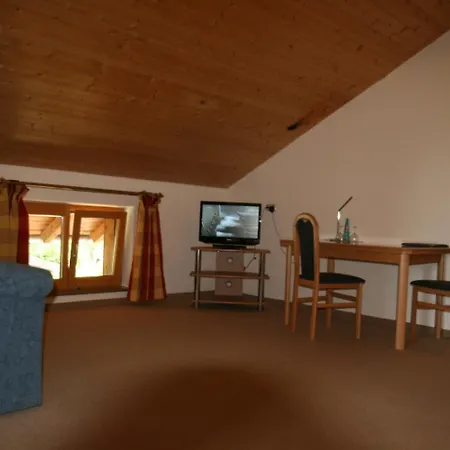 Hotel-cafe Hanfstingl 3*