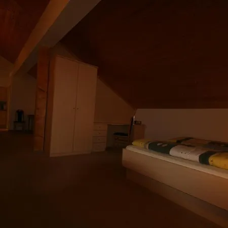 Hotel-cafe Hanfstingl فندق